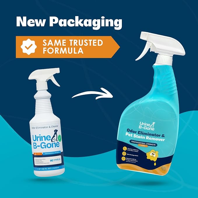 Urine B-Gone Enzyme Cleaner for Human & Pet Urine, Citrus, 32 oz, 2-Pack | Two 32 oz bottles of enzyme cleaner for human, cat and dog urine on laundry, carpets and more; citrus scent.