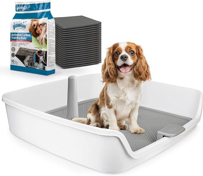 ALL FOR PAWS Dog Pee Pad Holder with Removable Post, 23.6" Indoor Dog Potty Training Tray, Puppy Toilet Litter Box for Small to Medium Sized Dogs