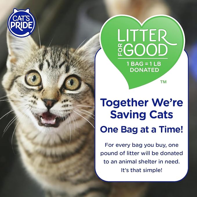 Cat's Pride Antibacterial Litter, Odor-Eliminating Lightweight Scented 12lb