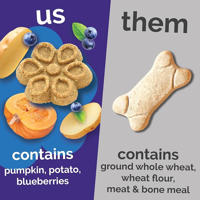 Fruitables Biggies Dog Biscuits, Pumpkin & Blueberry Flavor, 16oz | Healthy Dog Treats, Crunchy Dog Biscuits, Large Breed Snacks, Wholesome Ingredients, Healthy Puppy Snacks, Made in USA
