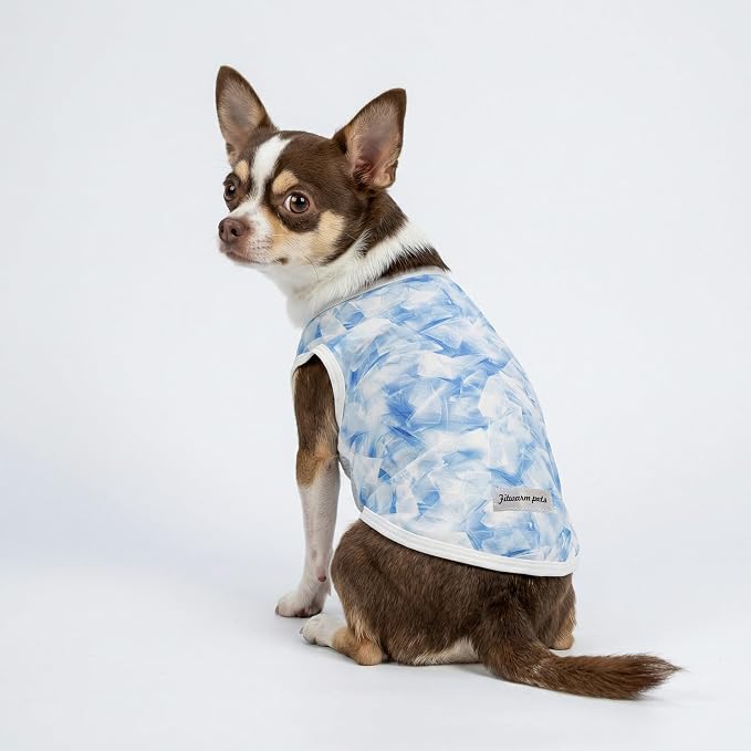 Fitwarm 2 Pack Ice Lemon UPF 50+ UV Sun Protection Dog Shirt, Lightweight Dog Cooling Vest, Quick Dry Summer Clothes for Small Dogs Boy Girl, Pet Outfit, Blue, Yellow, White, Small