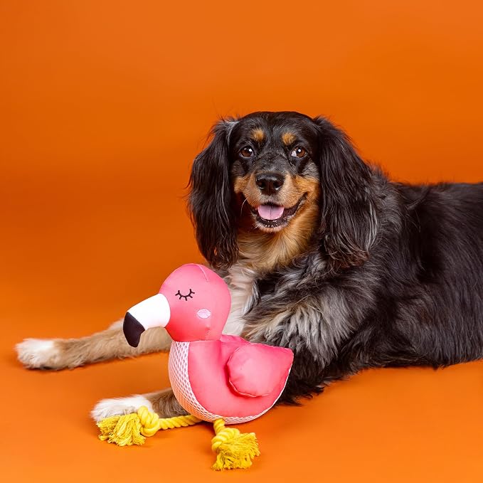 Fringe Studio Floating Dog Toy with Rope BE FLAMAZING, Pet Shop Collection (640028)