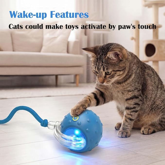 Tiny Fetch Motion Dog Toy,Interactive Cat Toy Rolling Ball