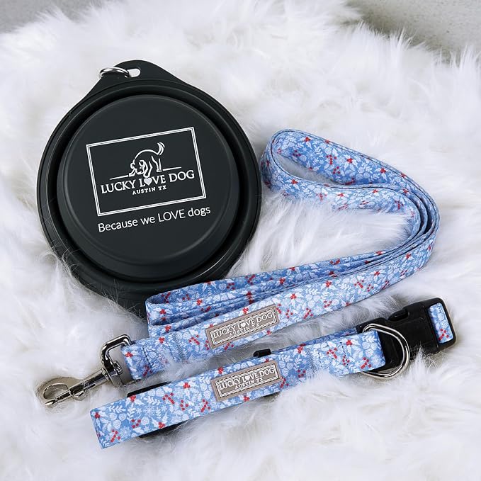 Lucky Love Dog Martingale Collar for Small Dogs Cute – Winter Blue, Small