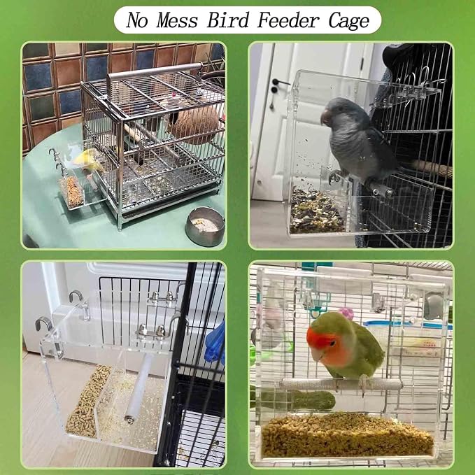 Automatic Acrylic Bird Feeder for Cage, No Mess Bird Feeder for Cage | Suitable for Bird Parrots, Canary, Parakeet, Budgerigar, Crested Myna, Cockatiel (XL)
