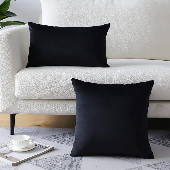 Artscope Luxury Velvet Pillow Covers Super Soft Decorative Rectangle Throw Pillow Covers Case Cushion Covers for Sofa Couch Bedroom Car Decor 16x24 Inch Black