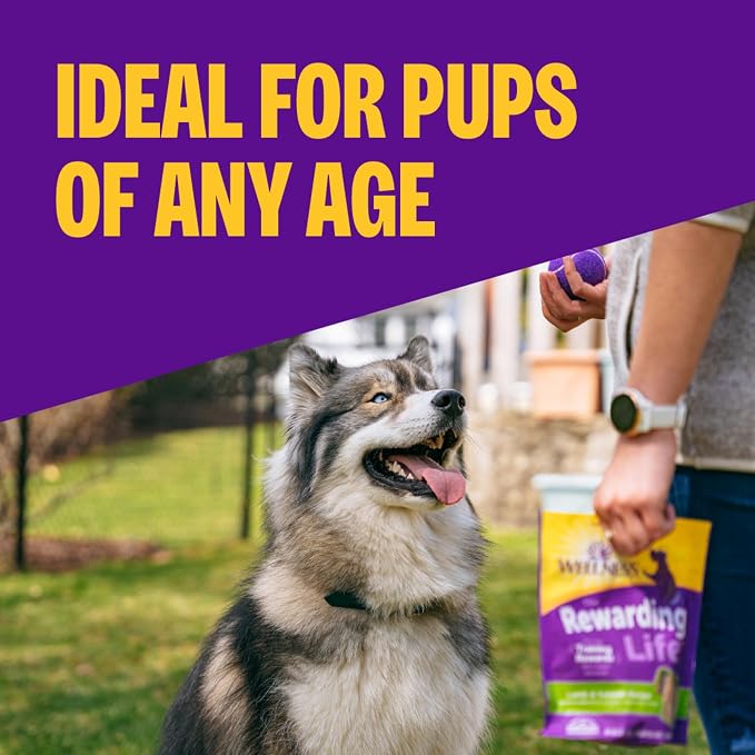Wellness Rewarding Life Soft Dog Training Treats, Natural, Grain Free, Turkey and Duck Recipe, 6 oz Bag