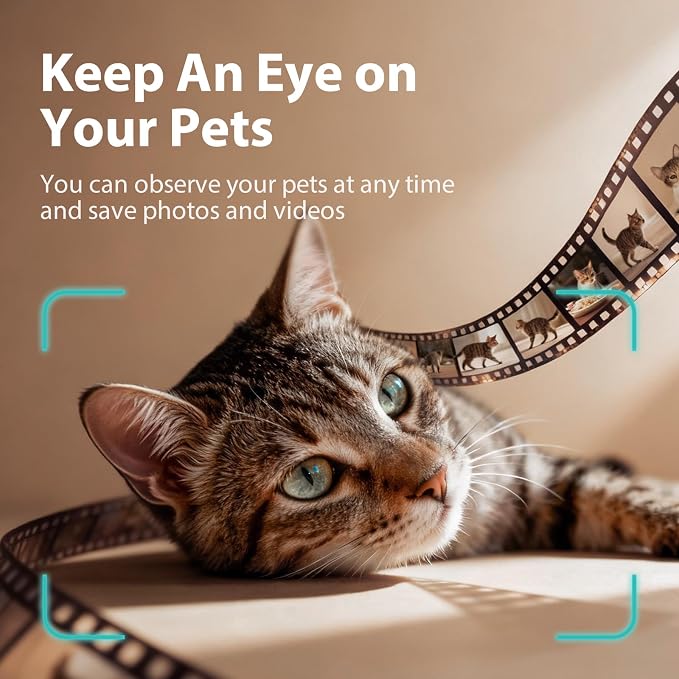 IMIPAW Automatic Cat Feeder with Camera - AI Pet Recognition & Recording, Night Vision, 5G WiFi APP Remote Control, Two-Way Audio & Desiccant Bag, Timed Programmable Food Dispenser for Small Pets