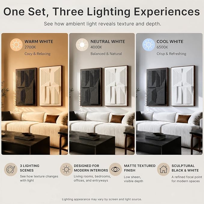Thalasse Modern Abstract Wall Art Large Framed 3D Black White 24x36 In | Textured monochrome geometric relief, sandstone minimalist pictures, office hallway decor, 2 piece set