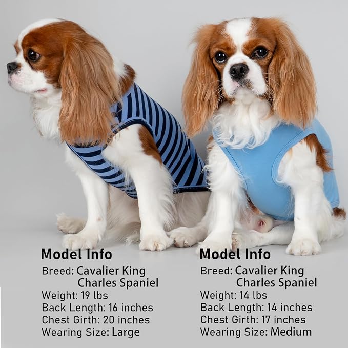 KYEESE 2Pack Cotton Dog Shirt for Small Medium Dogs Soft Striped Tank Top | Reflective for Safety, Lightweight & Breathable, Gentle on Sensitive Skin, Stretchy & Free to Move, Comfortable Daily Wear