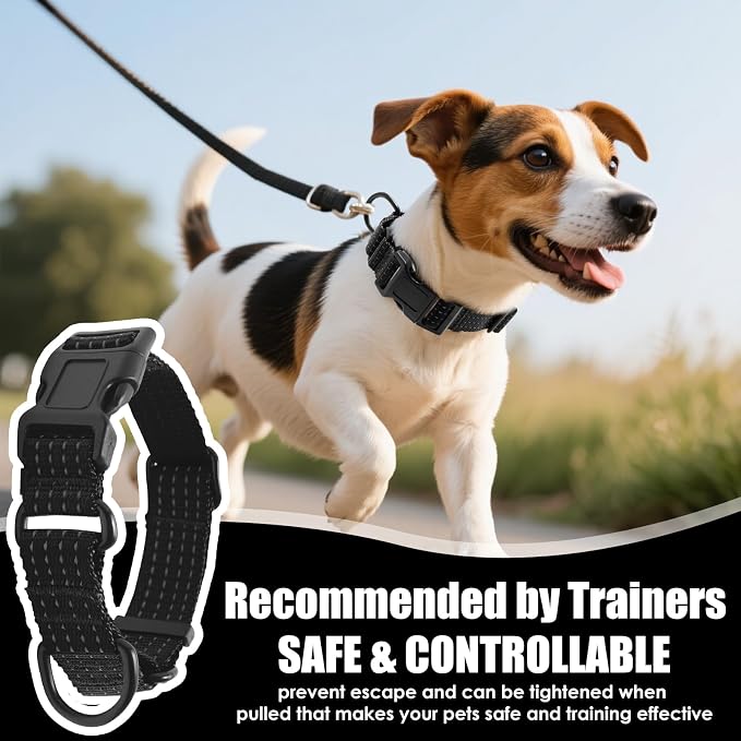 Martingale Dog Collar, Reflective No Pull with Buckle, Black, M