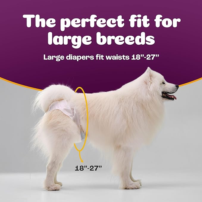Inspire Pet Care Dog Diapers Female Dogs | Bulk Value Doggie Incontinence | For Heat, Pee or Period and Housebreaking
