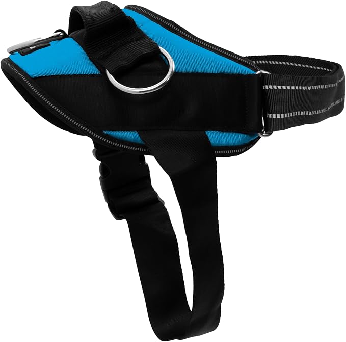 ShawnCo Essential Dog Harness, No-Pull Pet Vest (Oceanic Blue,XS) | 3 Leash Clips, Easy On, No-Choke, Reflective, Adjustable Fit, Padded Comfort, Control Handle, For Small, Medium & Large Dogs