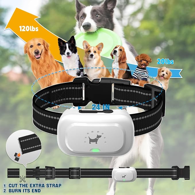 Dog Shock Collar with Remote Control- [Newly Upgraded] Training Collar for Small Medium Large Dogs, Electric Collar for Dogs Training Rechargeable, E Collar with Beep, Vibration & Shock-Lock Keypad