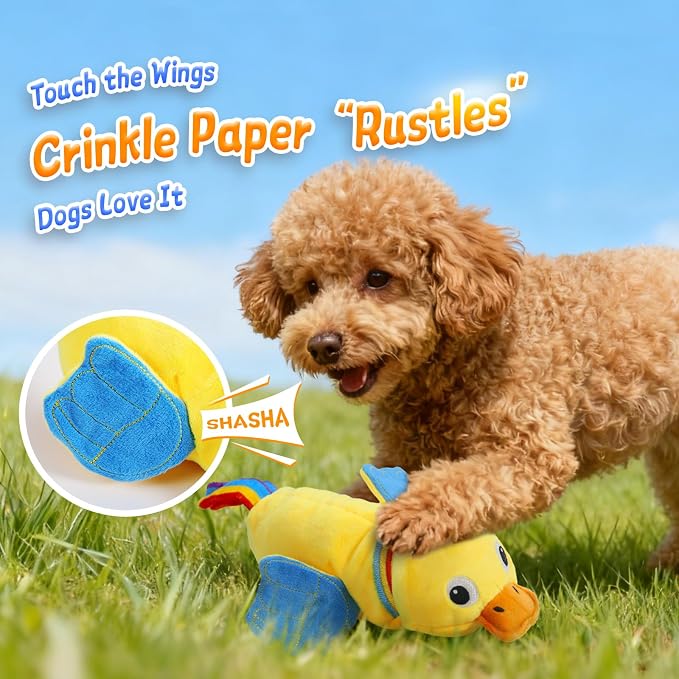 lilfrd Duck Dog Toy, Crinkle Squeaky Plush Interactive Chew Toy for Dogs