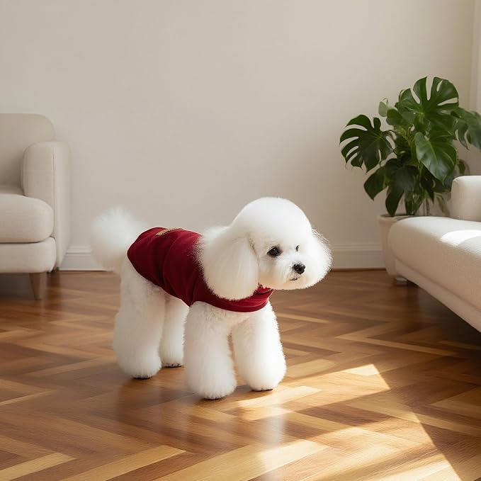Cat Sweater Warm Fleece Pet Clothes for Cats Only | Soft Cat Vest Puppy Hoodie Coat, Fall Cold Winter Sweatshirt Pullover Clothing also for Small Dogs, Wine Red L