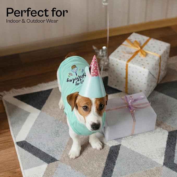 Parisian Pet Dog T-Shirt with Embroidered 'It's My Birthday' Words