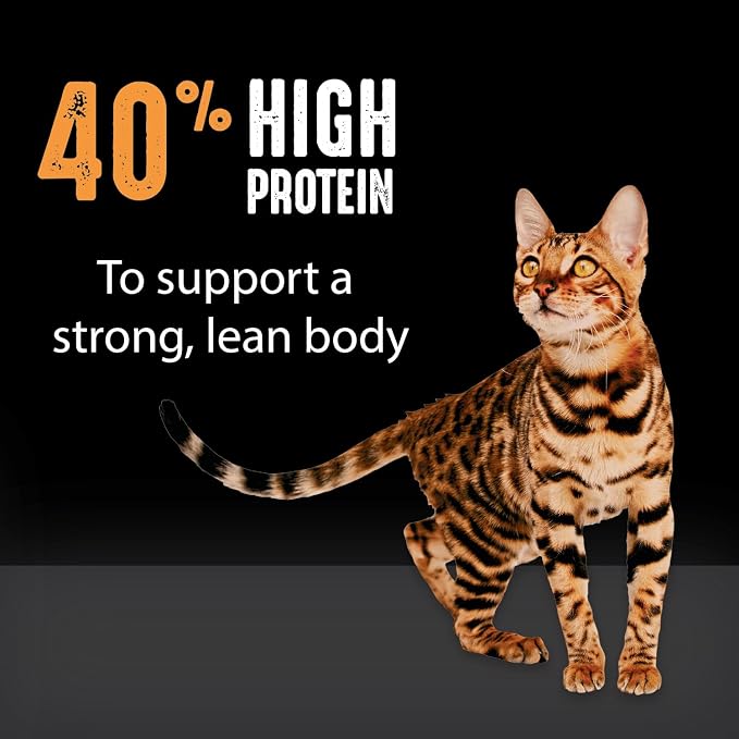 CRAVE Grain Free High Protein Natural Adult Dry Cat Food, Chicken, 10 lb | 40% protein, real chicken #1 ingredient, all natural ingredients, no by-product meal, no corn, wheat, soy, supports muscles