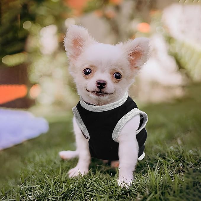 4 Pieces Dog Clothes for Small Dogs Boy Dog Shirt Puppy Clothes for Chihuahua Yorkie Soft Cute Pattern Pet Cat Clothing Black Grey Red Green XXS~M (XXSmall)