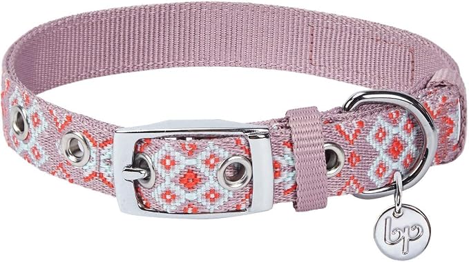 Blueberry Pet Southwestern Modern Tribal Print Thistle Braided Adjustable Dog Collar with Metal Buckle, Neck 17-20.5", for Large Breed