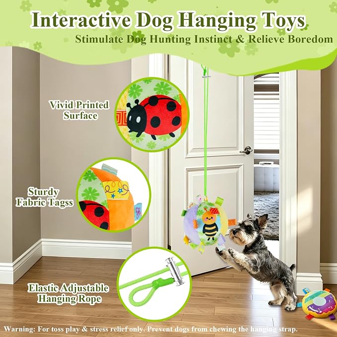 Colorful Squeaky Hanging Dog Toy with Suction Cup for Small Dogs | Bungee Tether, Crinkle Bell Ball, Bouncing Self-Play Toy, Door Frame Mounted, Interactive Fetch for Puppy Teething & Exercise
