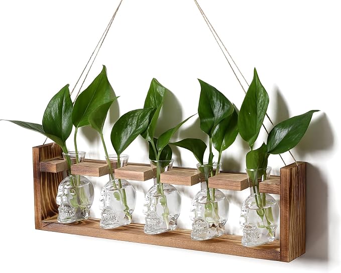 Plant Terrarium Propagation Stations Halloween Skull Planter Vase Skulls | decor With Wooden Stand Gife for Father - 5 Vases