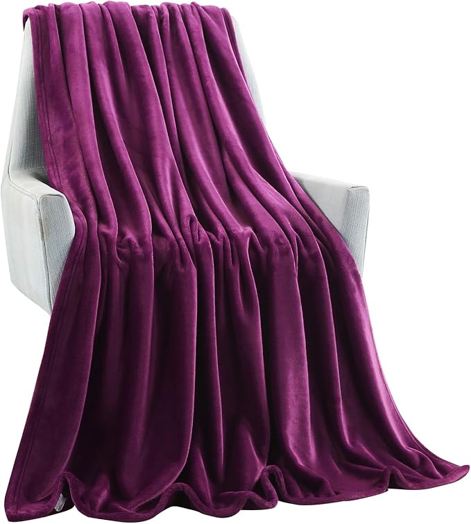 TASTHROW Large Flannel Fleece Throw Blanket, 50×70 Inch | Cozy Lightweight Thick Blanket - All Seasons Suitable for Women, Men and Kids (Two Pack, Purple)