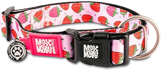 Max & Molly Urban Pets Fashion Smart ID Dog Collar, Anti-Fade, Adjustable Sizing w/Pet Profile Smart ID QR-Tag, Waterproof & Machine Washable, Strawberries, Large (Neck Size 15-25")