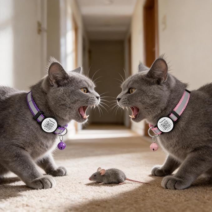 2 Pack Breakaway Cat Collar with QR Code & Bell, Reflective Safety Collar with Never-Lost Digital ID Tag, Adjustable 7.5-12.5 Inch for Indoor Outdoor Cats (Purple & Pink)