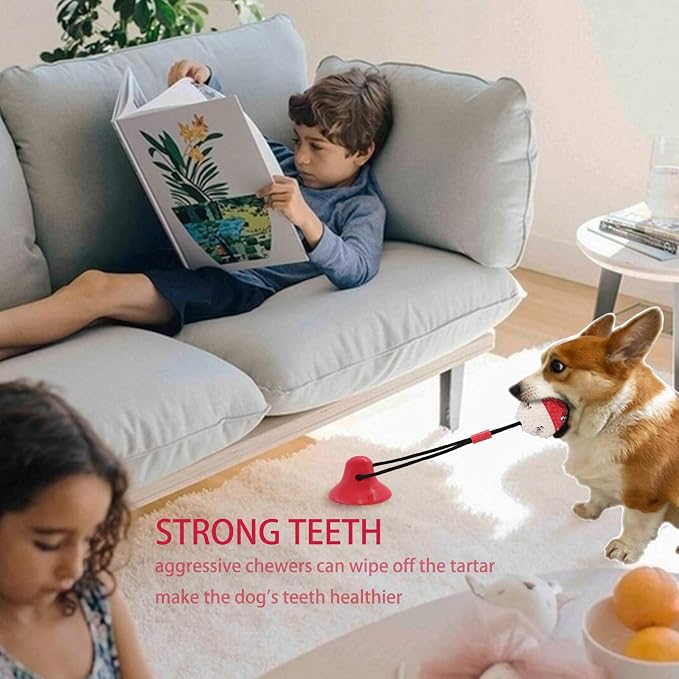 Askhald Dog Toys, Dog Chew Toys for Aggressive chewers,Rope with Suction Cup for Puppy Training Treats Teething for Boredom, Small Dog Puzzle Toy Treat Food Dispensing Ball (red)