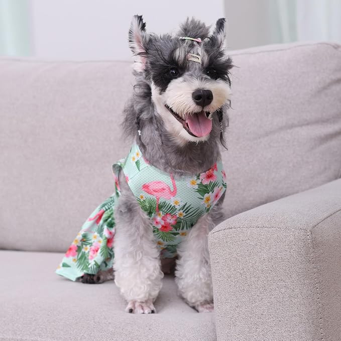 CuteBone Dog Mesh Dress Puppy Sundress Pet Outfit Summer Fashion for Small Dogs Girl Cat Clothes