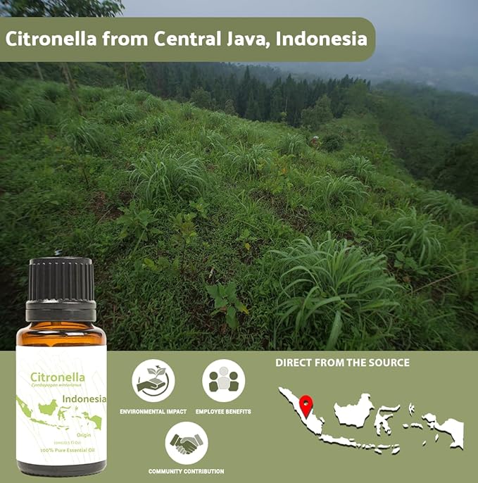 Citronella Essential Oil - Direct from Central Java, Indonesia - Pure Essential Oil for Diffusers and Aromatherapy | 100% Pure Therapeutic Grade (22LBS)