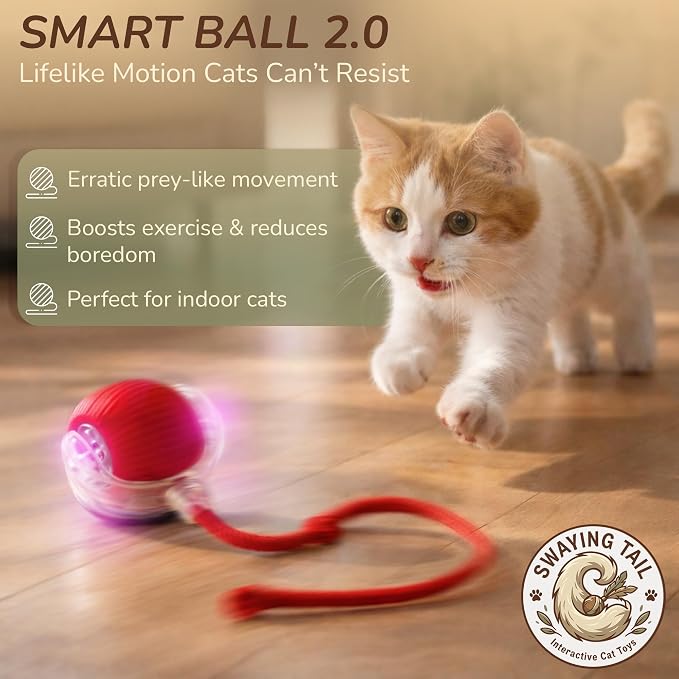 Interactive Cat Toy Automatic Moving Ball, Indoor Cats, Rechargeable, Red