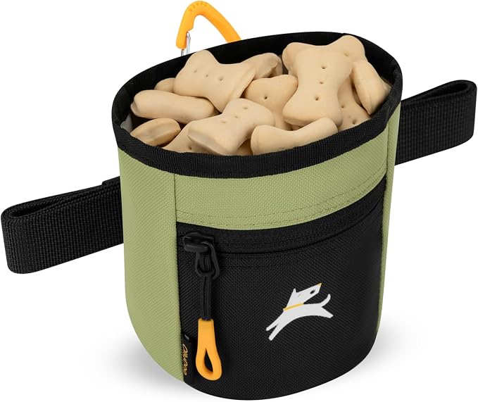 OllyDog, Goodie Treat Bag, Dog Treat Training Pouch | Magnetic Closure | 3 Ways to Wear | Hands-Free Waist Belt | Water-Resistant Recycled Vegan Fabric (Palm)
