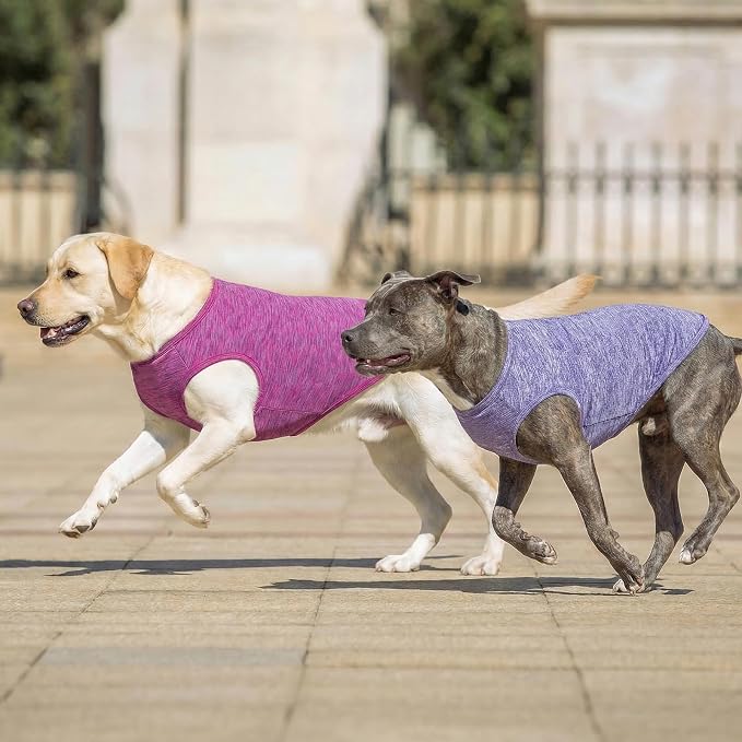 KYEESE 2Pack Dog Shirt for Large Dogs Sun Protection Tank Top for Summer | Reflective for Safety, Lightweight & Breathable, Shedding Control, Skin-Friendly for Sensitive Dogs, Easy On/Off, Quick Dry