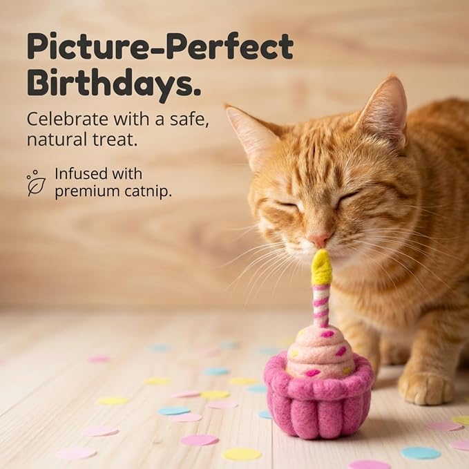 Glaciart One Wool Cat Birthday Cake Toy – Handmade Plush Catnip Design, Interactive Play for Indoor Cats, for Kittens & Cat Lovers