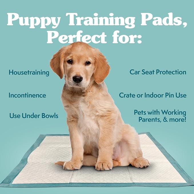 Simple Solution XL Potty Training Pads, Leak Proof Pads, 28"x30" 200 Count | Dog Training Pads, Puppy Potty Training, Housebreaking, Disposable Pee Pads, Floor Protection, Indoor Potty, Puppy Essentials