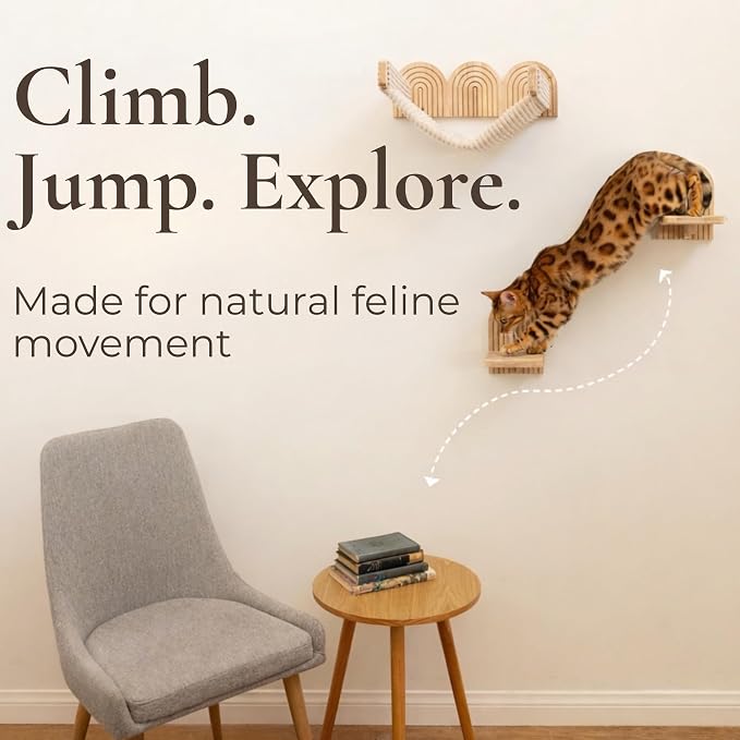 Wall Mounted Cat Hammock Bed with Steps - Wooden Wall Shelf for Cats - Paintable Natural Rubberwood - The Perfect Perch for Cats & Kittens