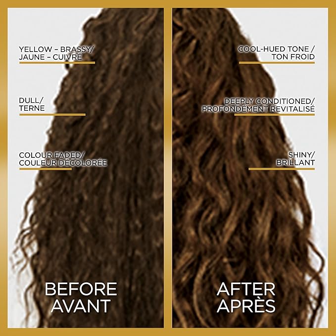 L'Oreal Paris Le Color Step Toning Hair Gloss,Cool Brunette,4 Ounce,(Pack of 12)