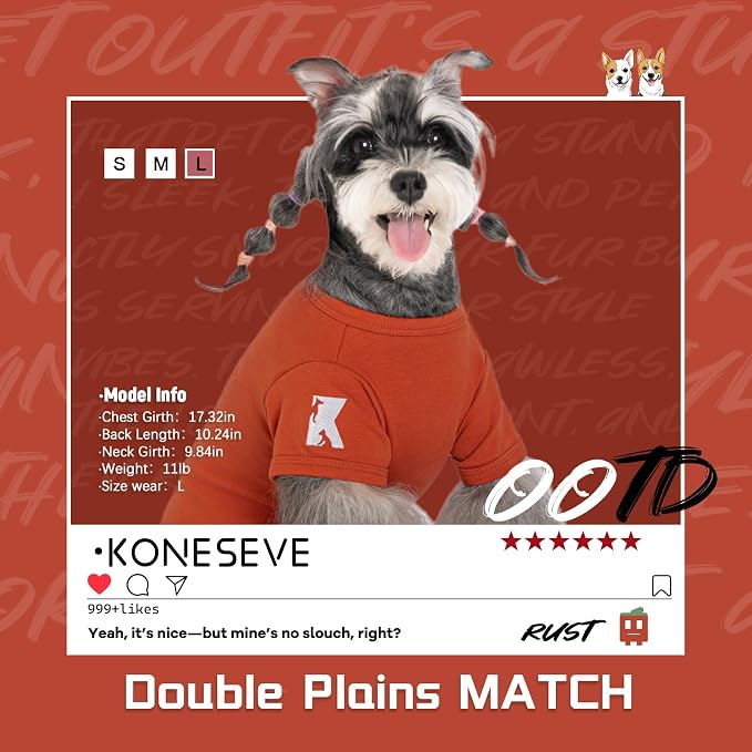 Koneseve Dog Shirts Soft Cotton Tee Stretchy Clothes - Rust & Mist Green L | 2-Pack Breathable Basic T-Shirt for Small Dogs & Cats, Solid Plain Clothes for All Seasons, Easy Pull-On for Daily Wear