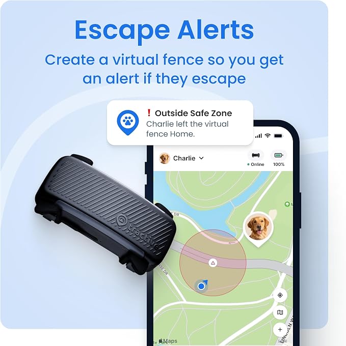 Tractive Smart Dog GPS Collar | Live Pet Tracker with Virtual Fence | Vital Signs Monitoring of Heart & Respiratory Rate | Bark Monitoring | LED Dog Collar (Blue, Large)