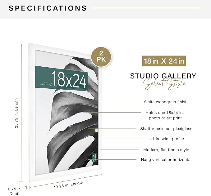 MCS Studio Gallery 18x24 Poster Frame White Woodgrain Engineered Wood, Vertical & Horizontal Wall Hanging Large Picture Frame for Photos, Posters & Art Prints (2-Pack)