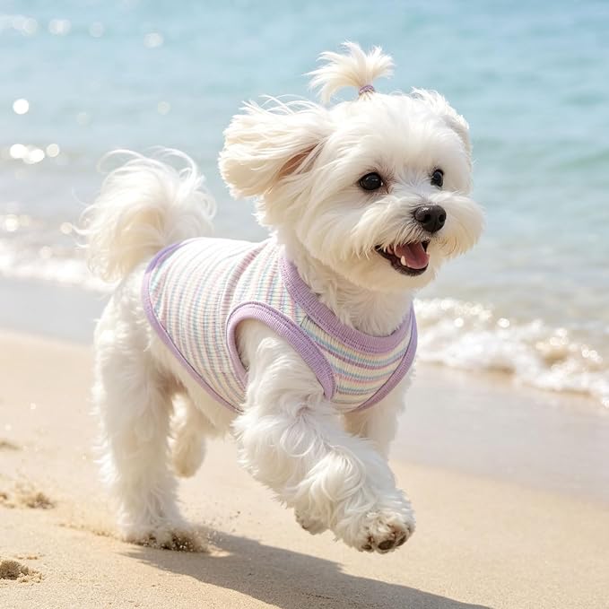 Small Dog Shirts Classic Striped Dogs Cats Clothes, Purple XL | Soft Pet Tee Shirt, Breathable Dog Outfits with Exquisite Edging, Small Puppy Pajamas Chihuahua Yorki Party Daily Costumes