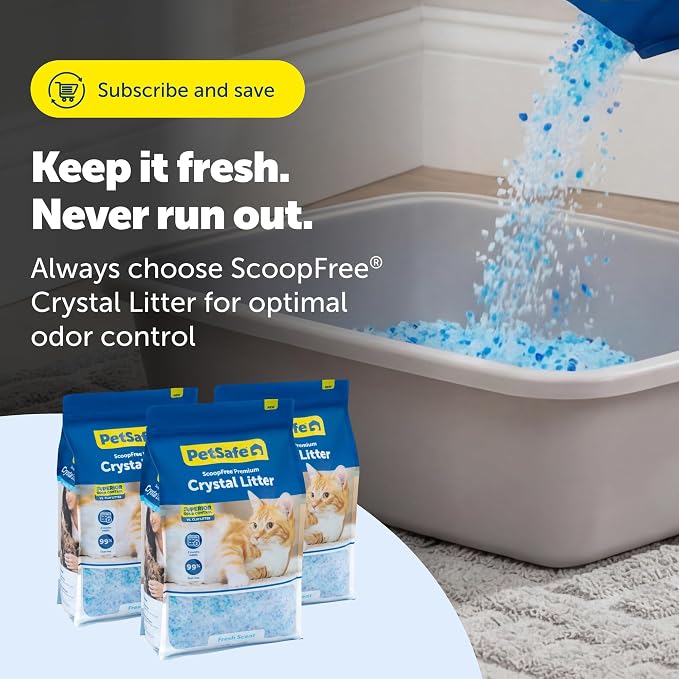 PetSafe ScoopFree Premium Crystal Litter, Fresh Scent, 8Lb Bag, 3 Pack | 5x Faster Odor Control than Clumping Clay Litter, 99% Dust-Free, Low Tracking Crystals, Compatible with Any Cat Litter Box