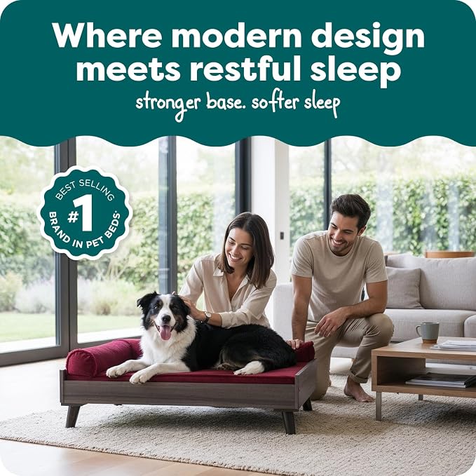Furhaven Elevated Dog Bed Frame for 36" x 27" Large Dog Beds, Easy Assembly - Mid-Century Modern Bed Frame - Gray Wash, Large
