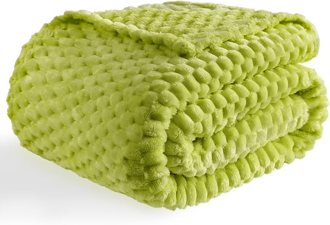 Bnuitland Fruit Green Flannel Throw Twin Size Blanket (60X80 inches), 300 GSM Fleece Cozy Warm Soft Home Decor Lightweight Bed Blanket for Adults, Suitable for All Seasons.