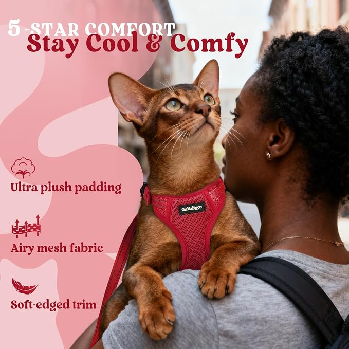 rabbitgoo Cat Harness and Leash, Easy-on with Neck Buckle, Red