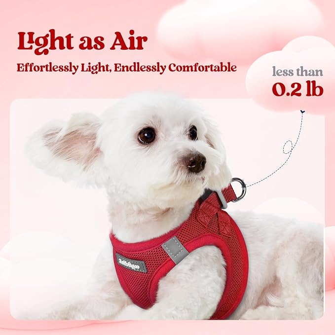 rabbitgoo Dog Harness Small Sized and Leash Set, Step-in Puppy Pet Vest | Light, Soft, Breathable Air Mesh, Easy on and Remove with Hook & Loop, Secure Reflective for Walking, Red S