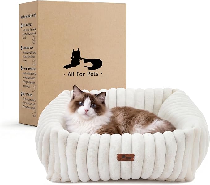 Cute Dog Bed for Small Dogs & Cats,Washable Fluffy Cat Beds for Indoor Cats, Rectangle Orthopedic Memory Foam Puppy Beds with Anti-Slip Bottom, 20 x19 x 6 Inches, Cream (20x19x6 inches)