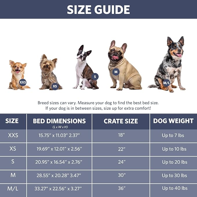 MidWest Homes for Pets QuietTime Fashion XXS Dog Bed – Blue Faux Fur Bolster, Ultra-Soft and Machine Washable, Fits 18-Inch Crates and Carriers, for Small Dogs and Cats (Pack of 2)